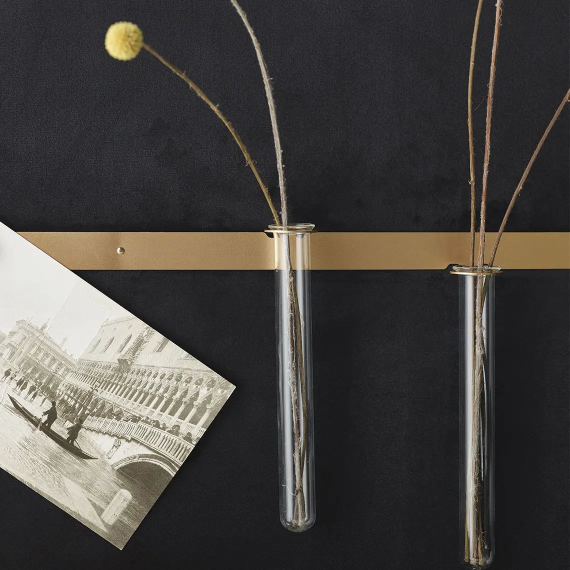 Padded Wall Boards Accessories - Decorative Strip 2 Gold closeup on black panel Decormania UK